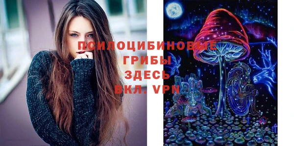 марки lsd Богданович